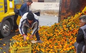 واژگونی کامیون حامل مرکبات در فیروزکوه