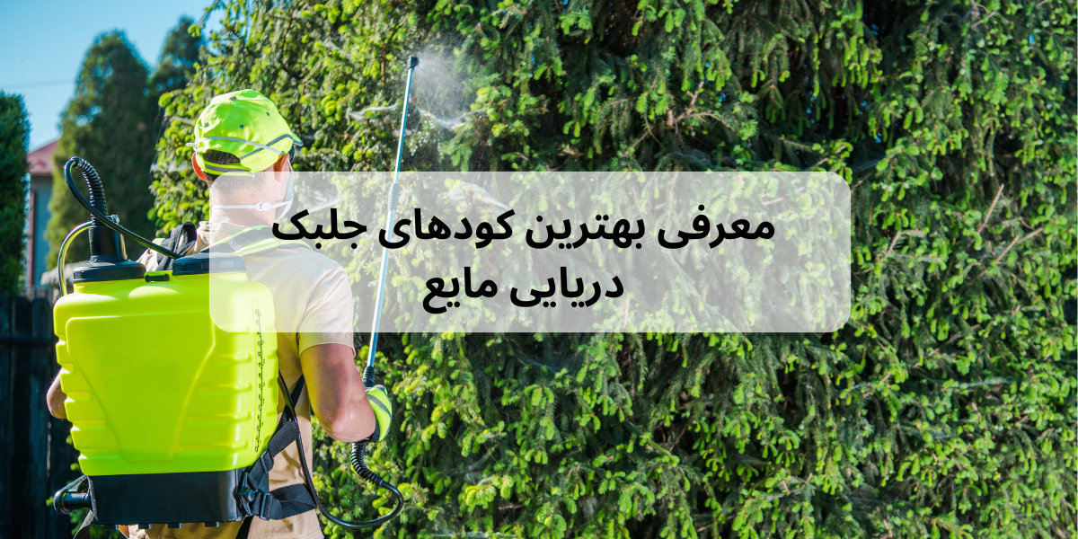 فواید کود جلبک دریایی برای درخت انگور