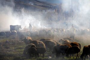 طبیعت پاییزی شهرستان الشتر