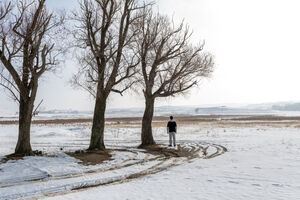 طبیعت برفی دامنه‌های سهند