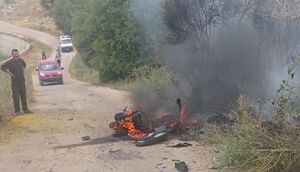 خون یهودیان از مردم کشورهای مسلمان رنگین‌تر است!