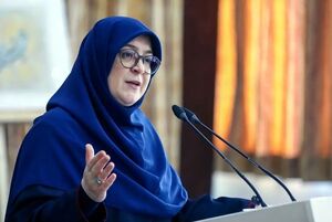 مهاجرانی: کوچک سازی دولت شروع شده است