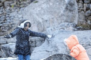 عکس/ گنجنامه برفی