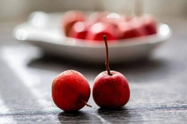 زالزالك،قلبي،كاهش،خون،درمان،قلب،مصرف،كلسترول،بدن،موجود،افزاي ...