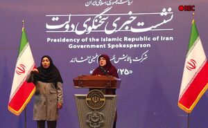 فیلم/ عامل اصلی تورم از زبان سخنگوی دولت