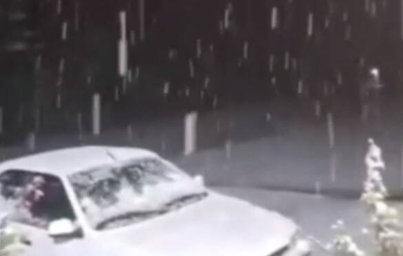 فیلم/ شیراز سفیدپوش شد