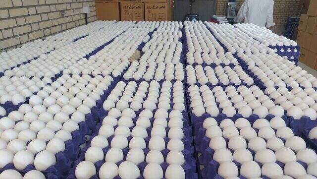 بازار کساد یلدایی؛ رقابت شانه به شانه مرغ و تخممرغ