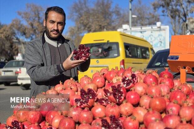 «یلدا» لاکچری شد؛سفرههای کوچکتر تهرانی ها در بلندترین شب سال