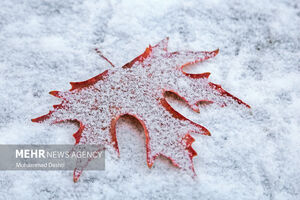 بارش شدید برف در مشهد