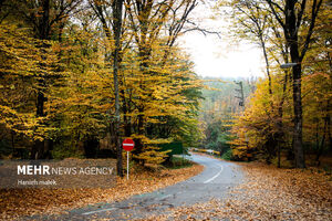 تصاویر چشم نواز از پاییز دیرهنگام النگ دره گرگان