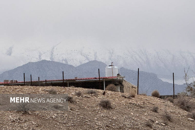 فیلم/ تداوم بارش برف در قله تشگر هرمزگان