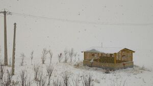 طبیعت برفی شهرستان بروجن را به تماشا بنشینید