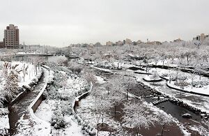 رخت سفید بر تن مشهد رفت