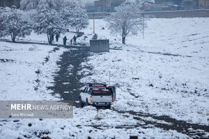 فیلم/ شدت بارش برف در مشهد