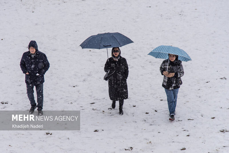 نخستین برف زمستانی در نصف جهان