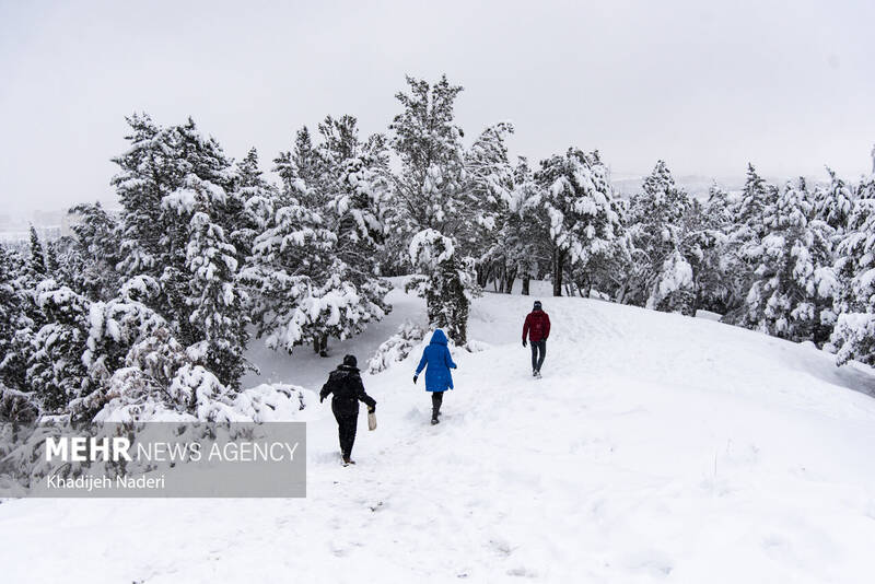 نخستین برف زمستانی در نصف جهان