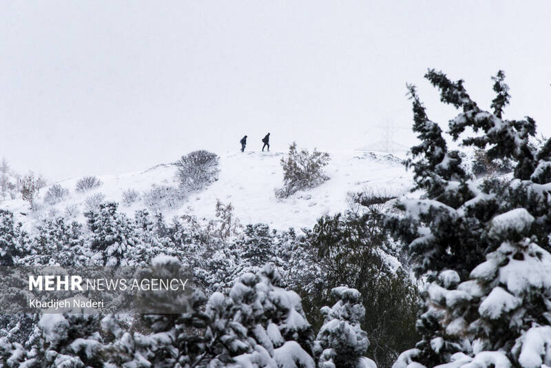 نخستین برف زمستانی در نصف جهان