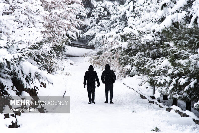 نخستین برف زمستانی در نصف جهان