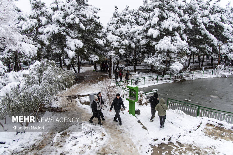 نخستین برف زمستانی در نصف جهان