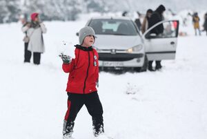 برف شادی در مشهد