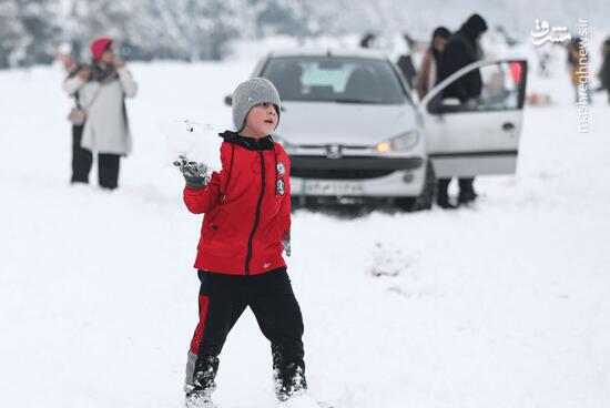 برف شادی در مشهد