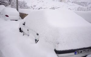 بارش ۶۰ سانتی متری برف در کنگ خراسان