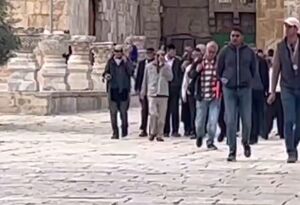 فیلم/ تعرض شهرک‌نشینان صهیونیست به مسجدالاقصی