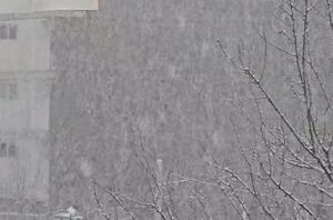 فیلم/  شدت بارش برف در شهر اسفراین