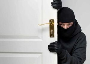 فیلم/ اعترافات سارقی که از کیسه برنج و تخم‌مرغ، طلا می‌دزدید