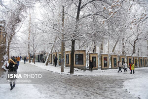 هشدار برف و باران برای تهران/ هوا سردتر می‌شود