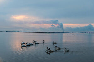 بازگشت غارغارک‌ها