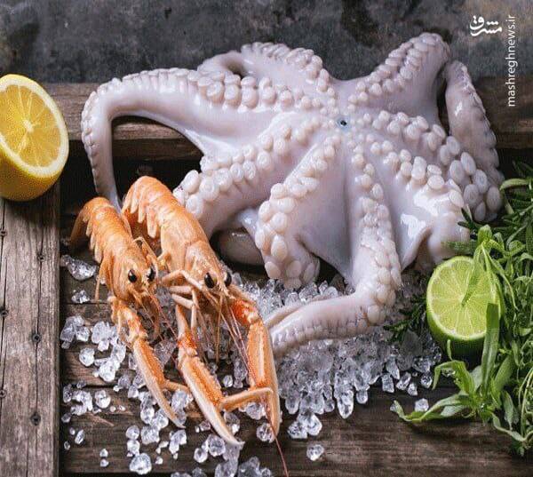 وقتی حرام‌خواری ترند می‌شود +عکس و فیلم