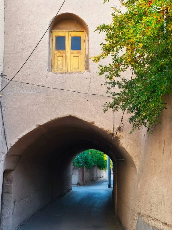 کوچهپسکوچههای تفت در گذر فصل ها