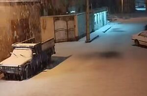 فیلم/ برف سقز را سفیدپوش کرد