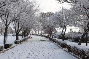 بارش برف در زنجان