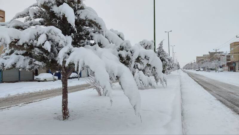 فیلم/ بارش نخستین برف زمستانی در تکاب