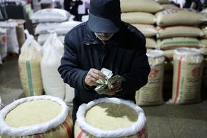 نتیجه شاهکار مسئولان در حذف ارز ترجیحی برنج/ سیل انتقادات ائمه جمعه کشور از گرانی و بینظارتی