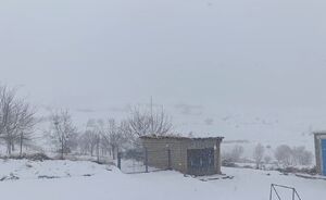فیلم/ بارش برف زمستانی در منطقه مرزی پیرانشهر