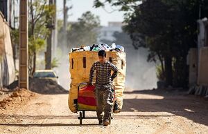 زباله و زباله‌گرد در تهران؛ هر دو در اختیار مافیا