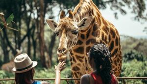 پارک ملی نایروبی به روایت تصویر