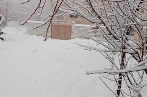 خوانسار سفید شد