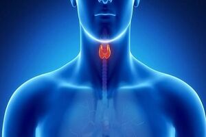 مراقب خرابی «پدال گاز» بدن باشید