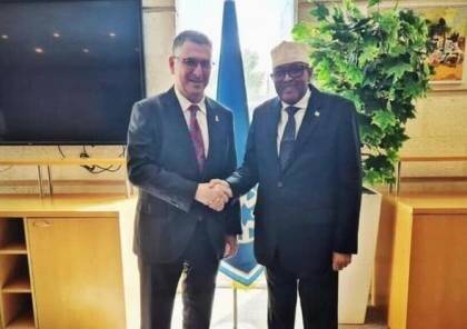 رژيم،صهيونيستي،رئيس،رسميت،خارجه،وزير،گزارش،قرار،آوارگي،عبدال ...