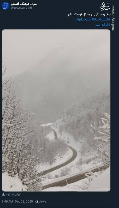 تصویر زیبای برف زمستانی در جنگل توسکستان