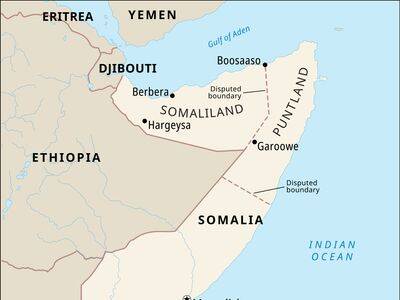 مصر،سومالي،صهيونيستي،رژيم،اسرائيل،قاهره،نظامي،آفريقا،امنيتي، ...