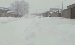 بارش ۶۰ سانتی متری برف در یکی از روستاهای چهارمحال