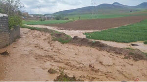 پیدا شدن جسد دو جوان غرق‌شده در سد و رودخانه سرپری دهدشت