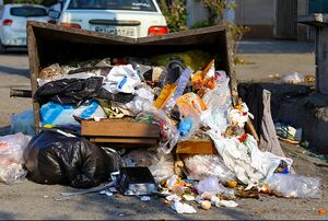 عکس/ رهاشدگی زباله در خیابان‌های ساری