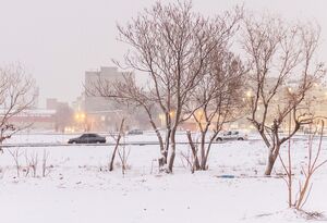 تن‌پوش سفید زمستان بر تن تبریز