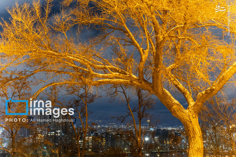 عکس / تن‌پوش سفید زمستان بر تن تبریز